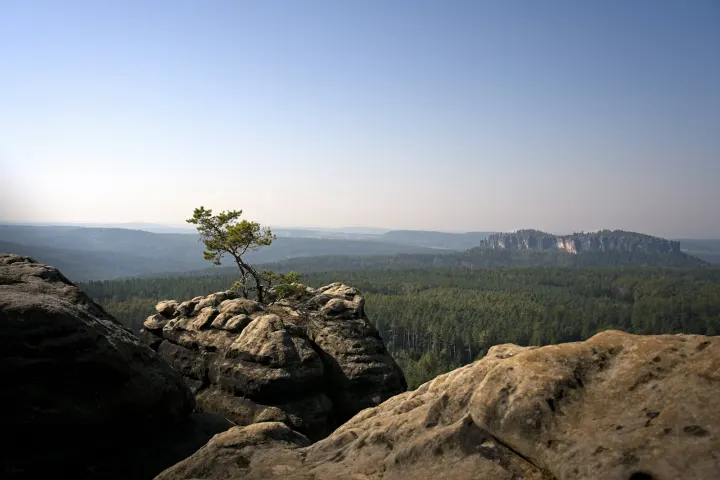 Sandsteinfelsen und Wald im Elbsandsteingebirge
